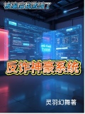 被骗后反骗