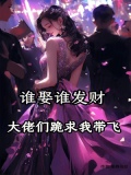 谁娶我我就嫁给谁免费阅读