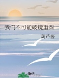 我们不可能破镜重圆完整版