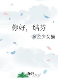 你好,结芬小说