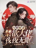 闪婚甜妻总裁大叔夜夜撩 小说