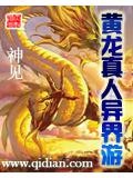 黄龙真人异界游小说