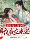 恶毒宫女挺孕肚，太子夜夜在求宠