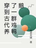 穿到古代养了一群鸡鸭鹅的小说