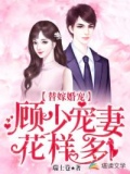 顾少的替嫁宠妻 小说