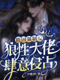 跨国强制爱：狼性大佬肆意侵占