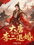 大唐开局给李二上一课免费阅读
