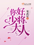 你好,少将大人免费阅读