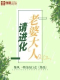 老婆大人请入怀txt