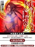 铁血丹铁血丹心