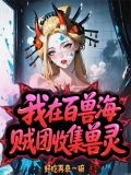 海贼混在百兽海贼团