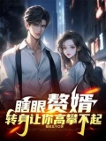 瞎眼赘婿转身让你高攀不起